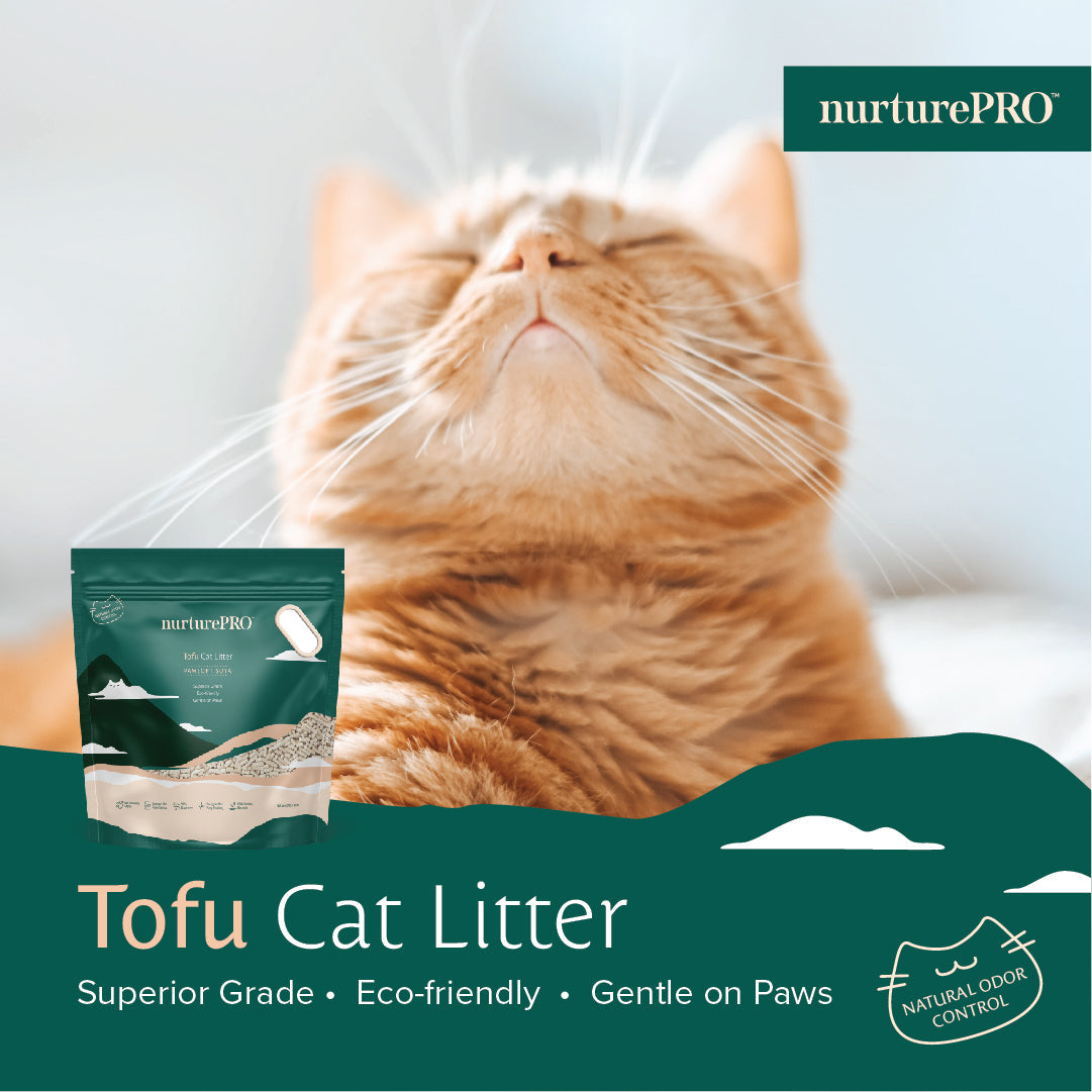 NurturePro plant-based cat litter for HDB flats