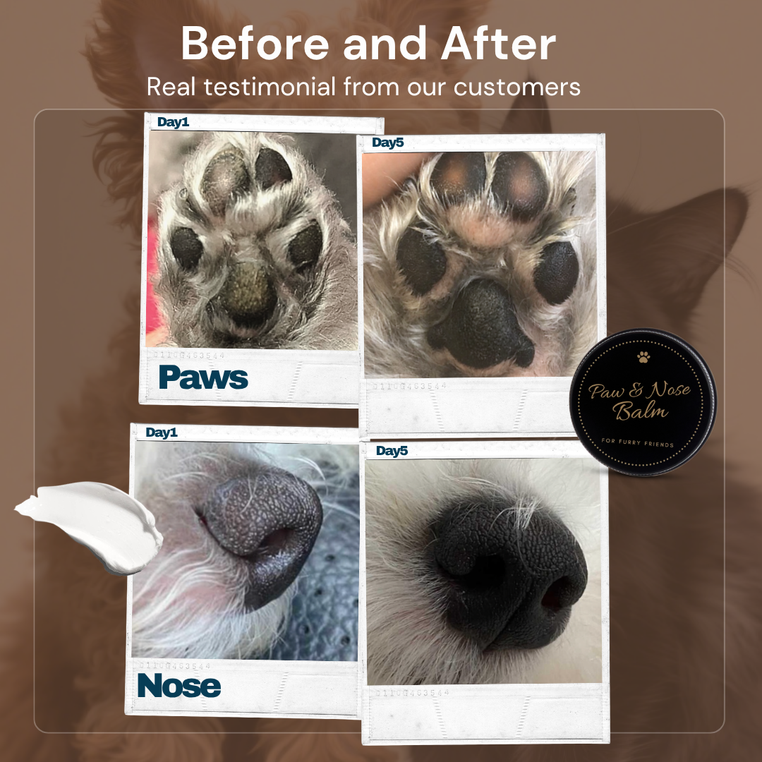 For Furry Friends Paw & Nose Balm