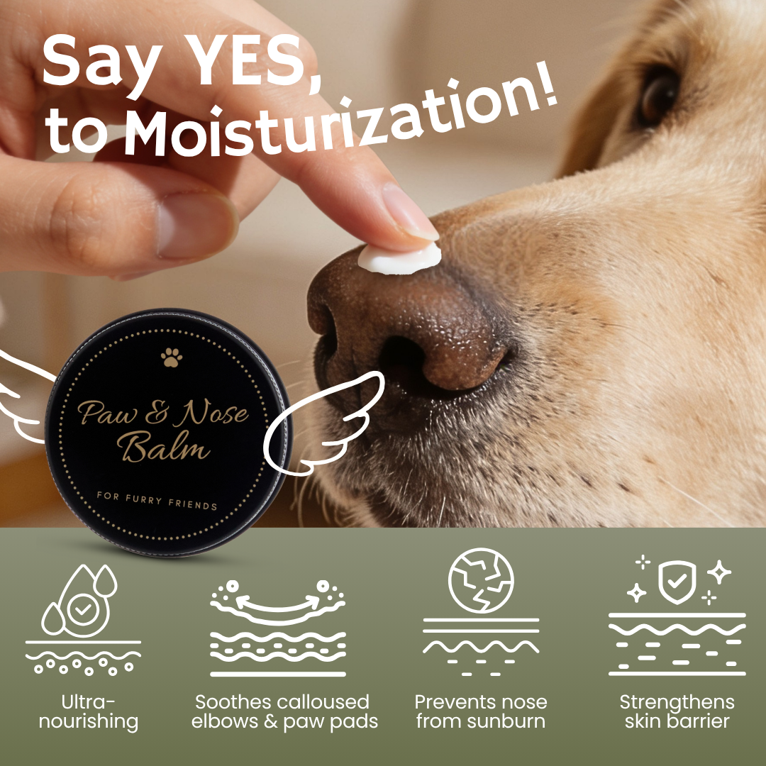 For Furry Friends Paw & Nose Balm