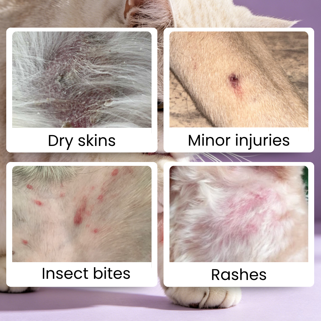 For Furry Friends Cat Body Healing Balm