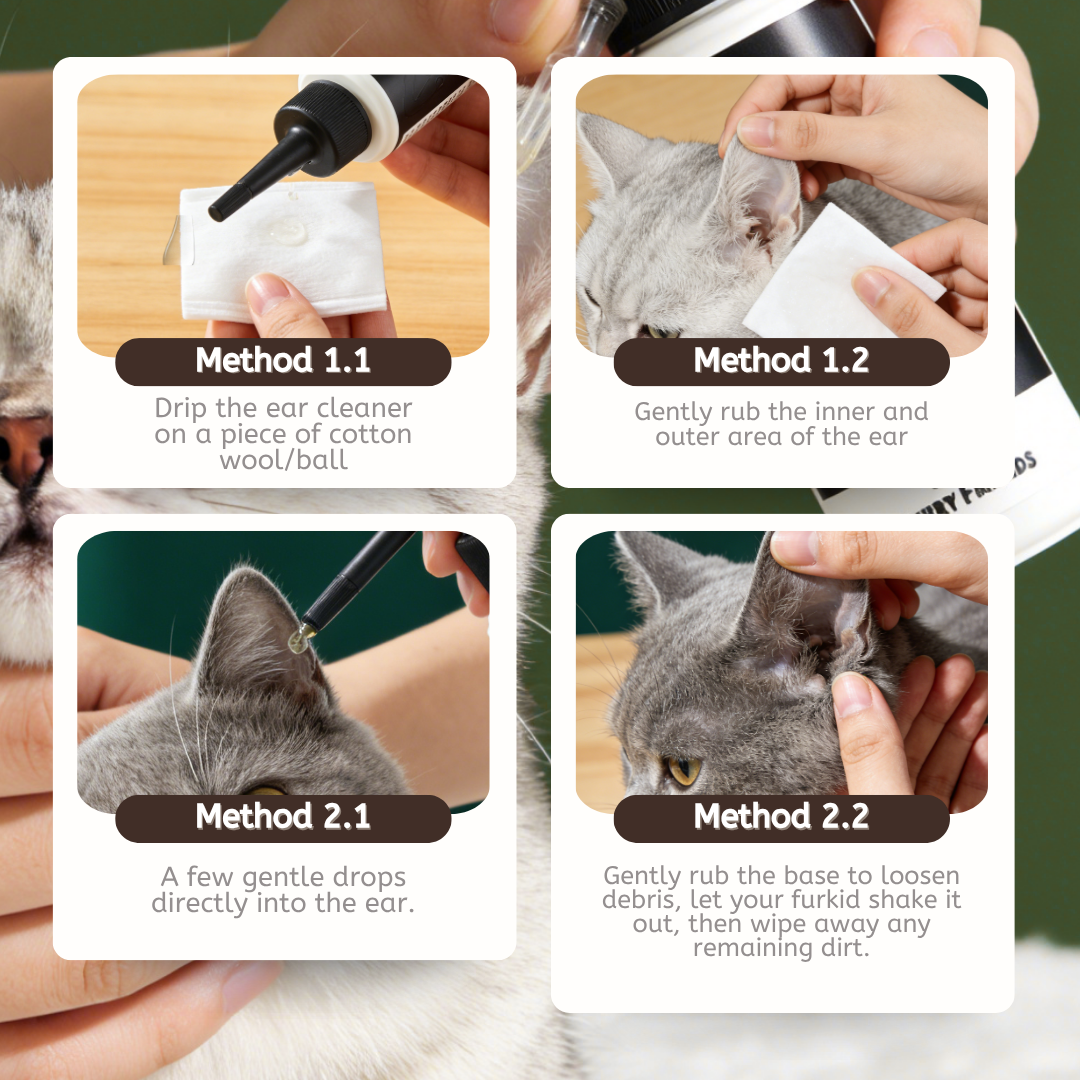 For Furry Friends Ear Cleaner