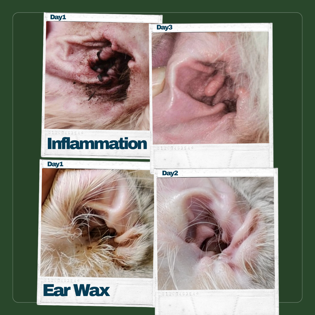 For Furry Friends Ear Cleaner