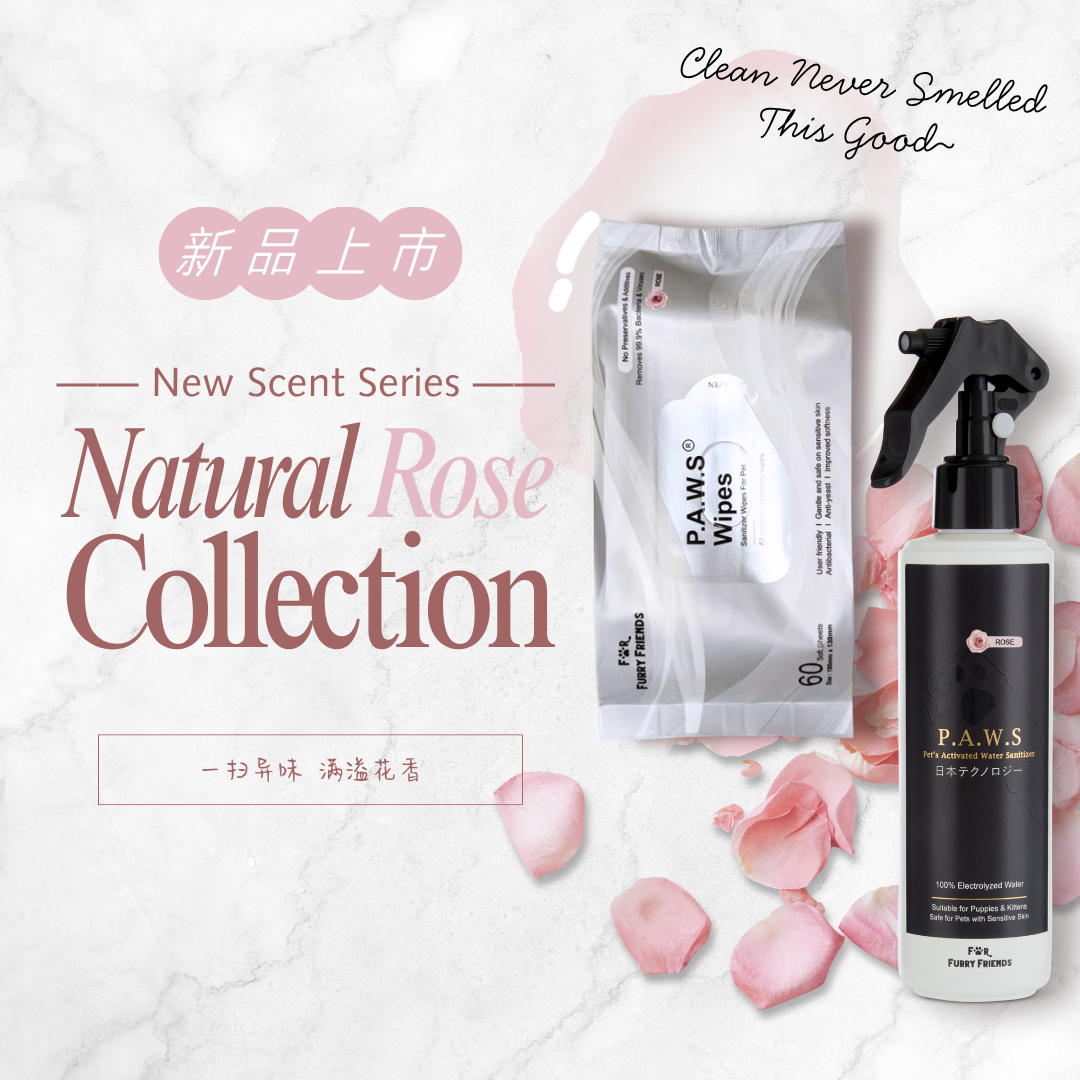 P.A.W.S Wipes - Rose