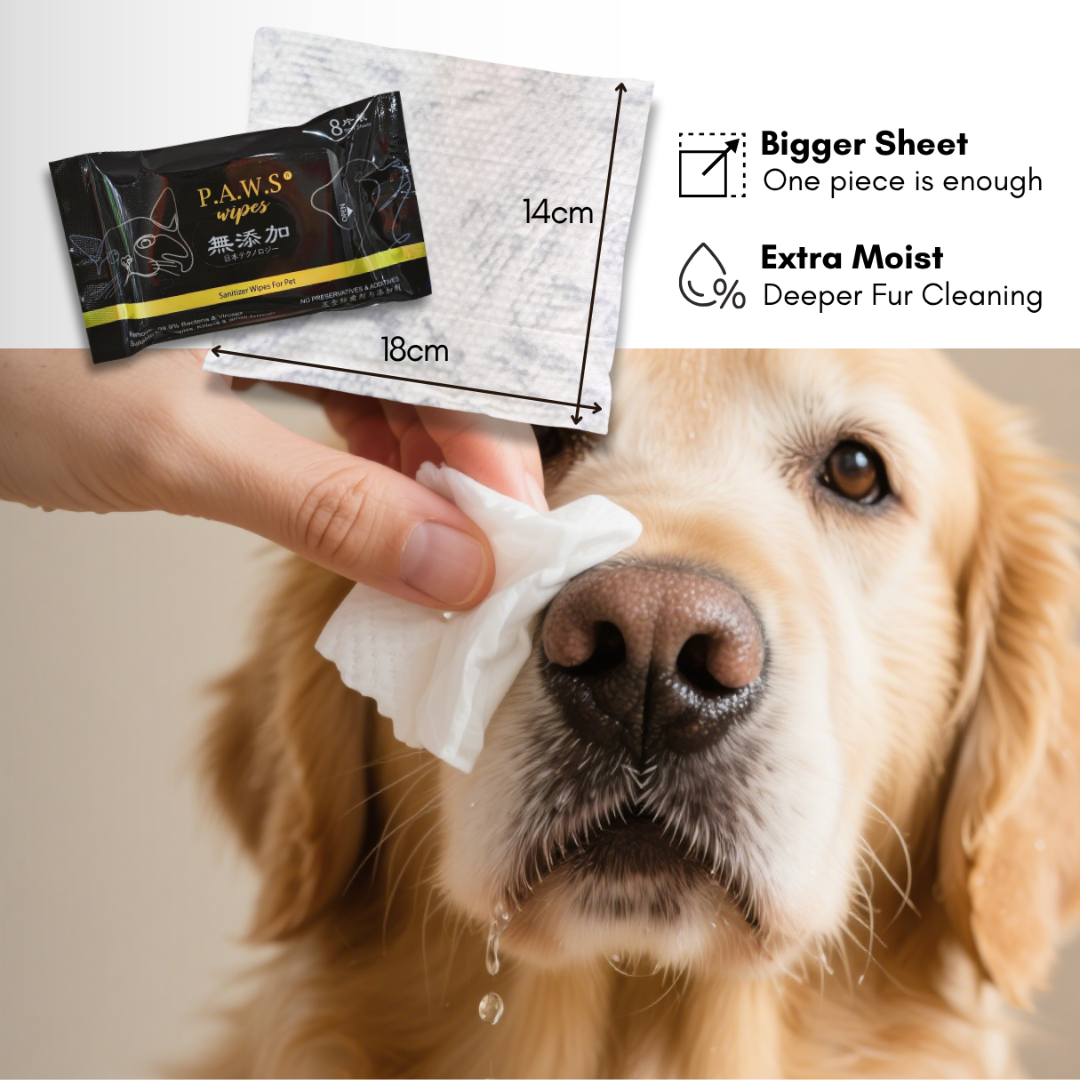P.A.W.S Travel Wipes