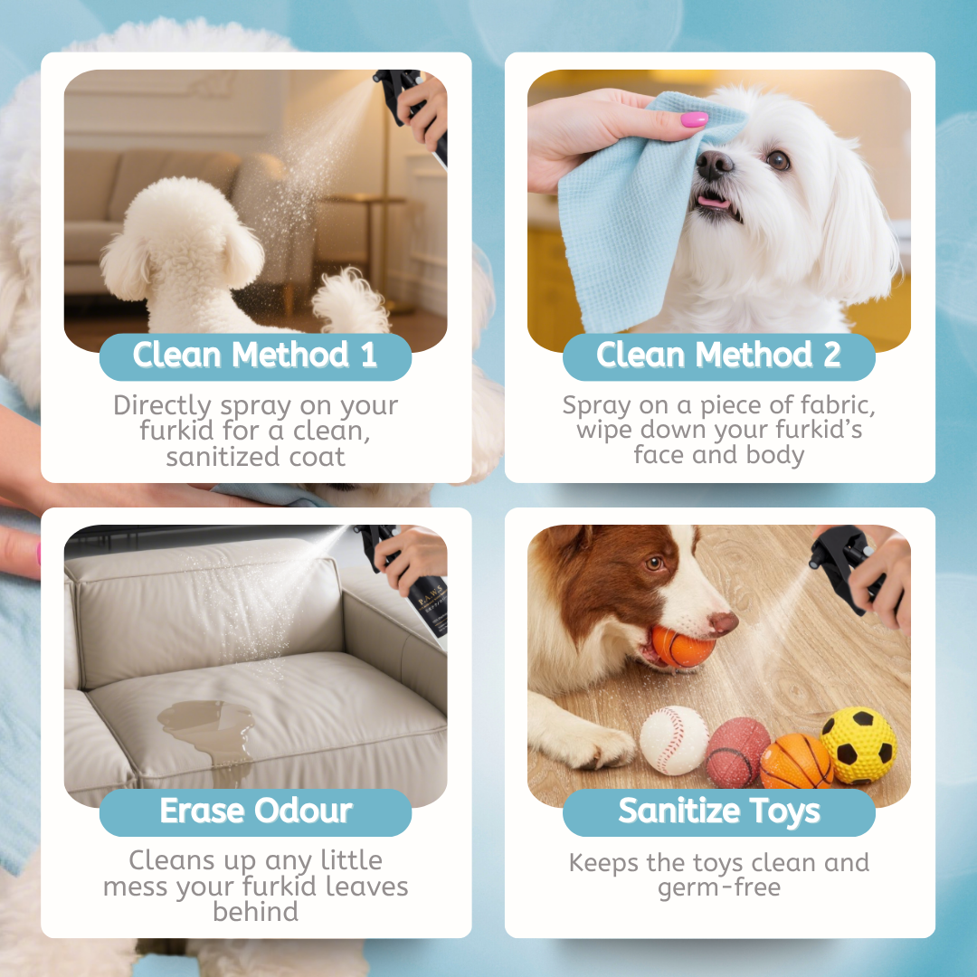 For Furry Friends P.A.W.S | Pet’s Activated Water Sanitizer Spray