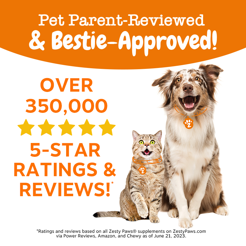 Zesty Paws Training Bites Dog Treats