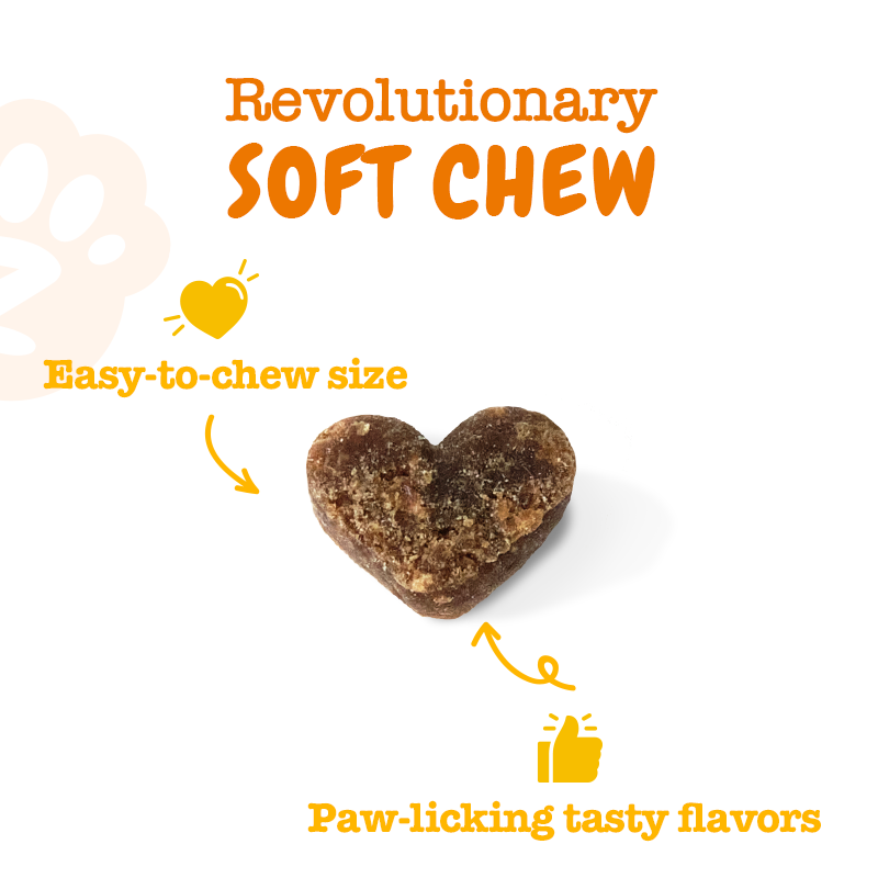 Zesty Paws Training Bites Dog Treats