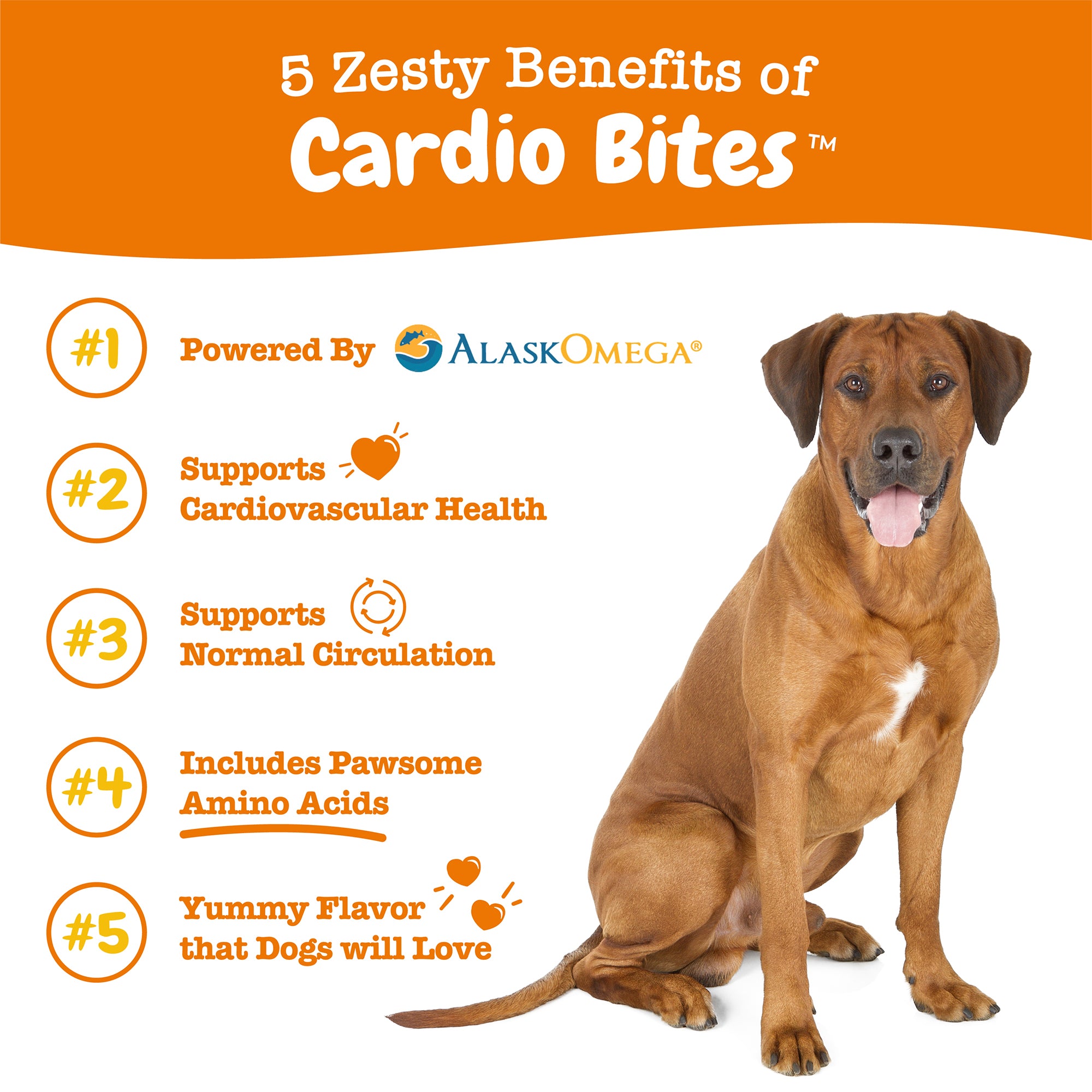 Zesty Paws Cardio Bites Dog Supplements