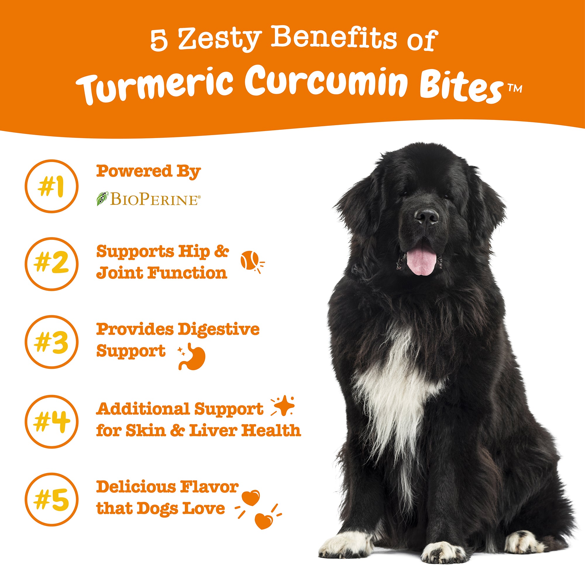 Zesty Paws Turmeric Curcumin Bites Dog Supplements