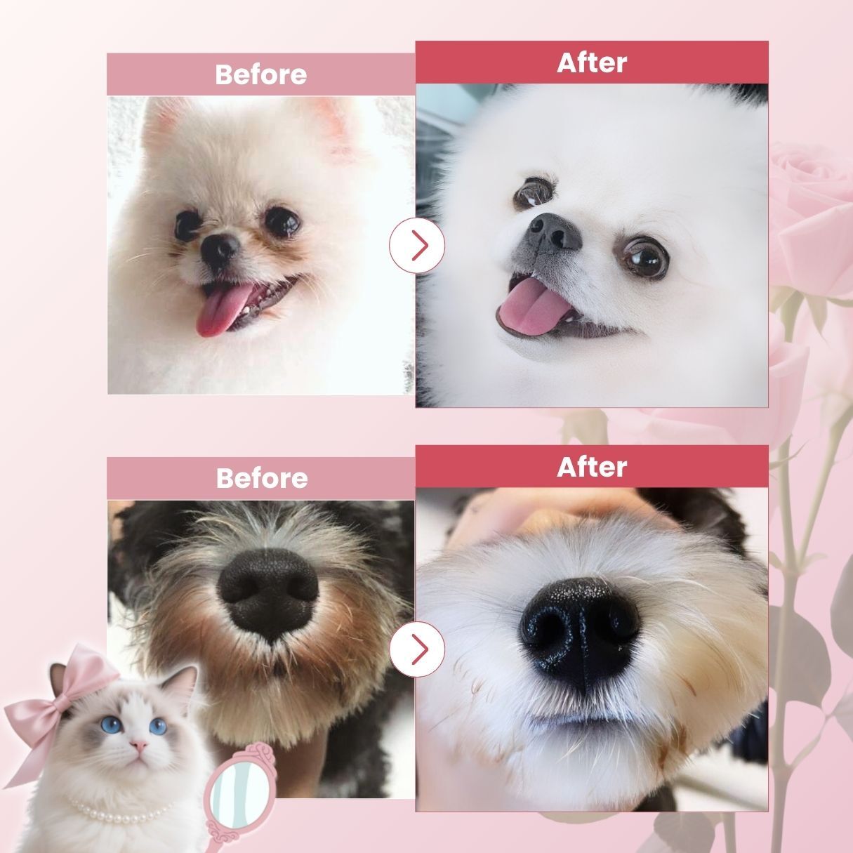 P.A.W.S Pet Facial Wipes