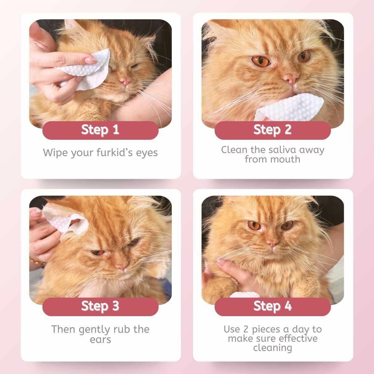 P.A.W.S Pet Facial Wipes