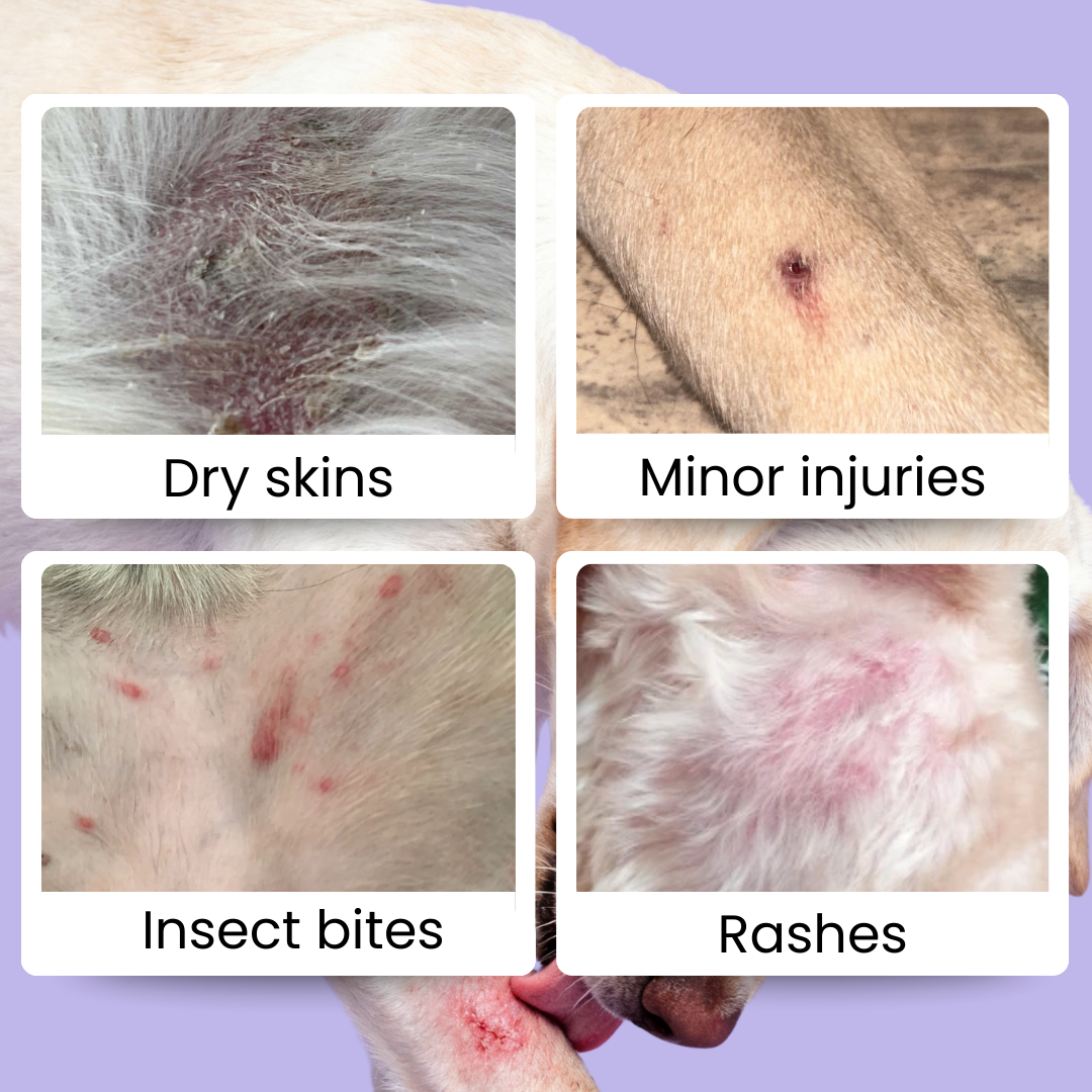 For Furry Friends Body Healing Balm