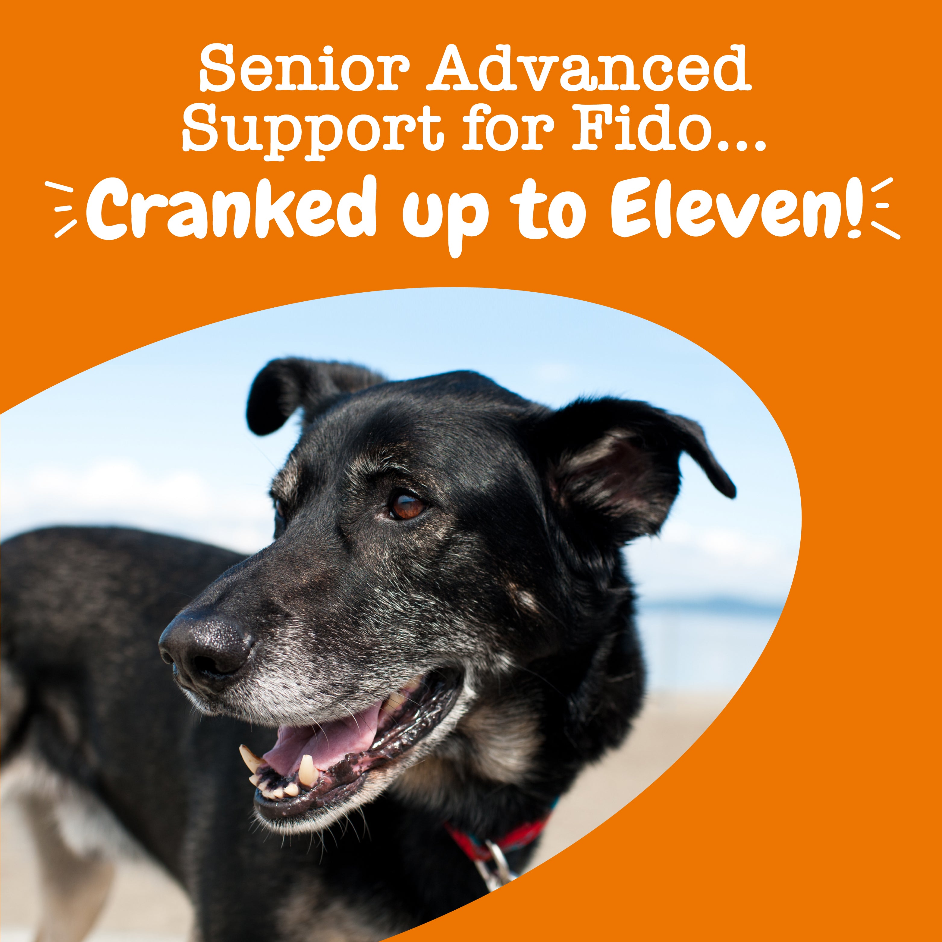 Zesty Paws Senior Advanced 11-in-1 Bites Dog Supplements