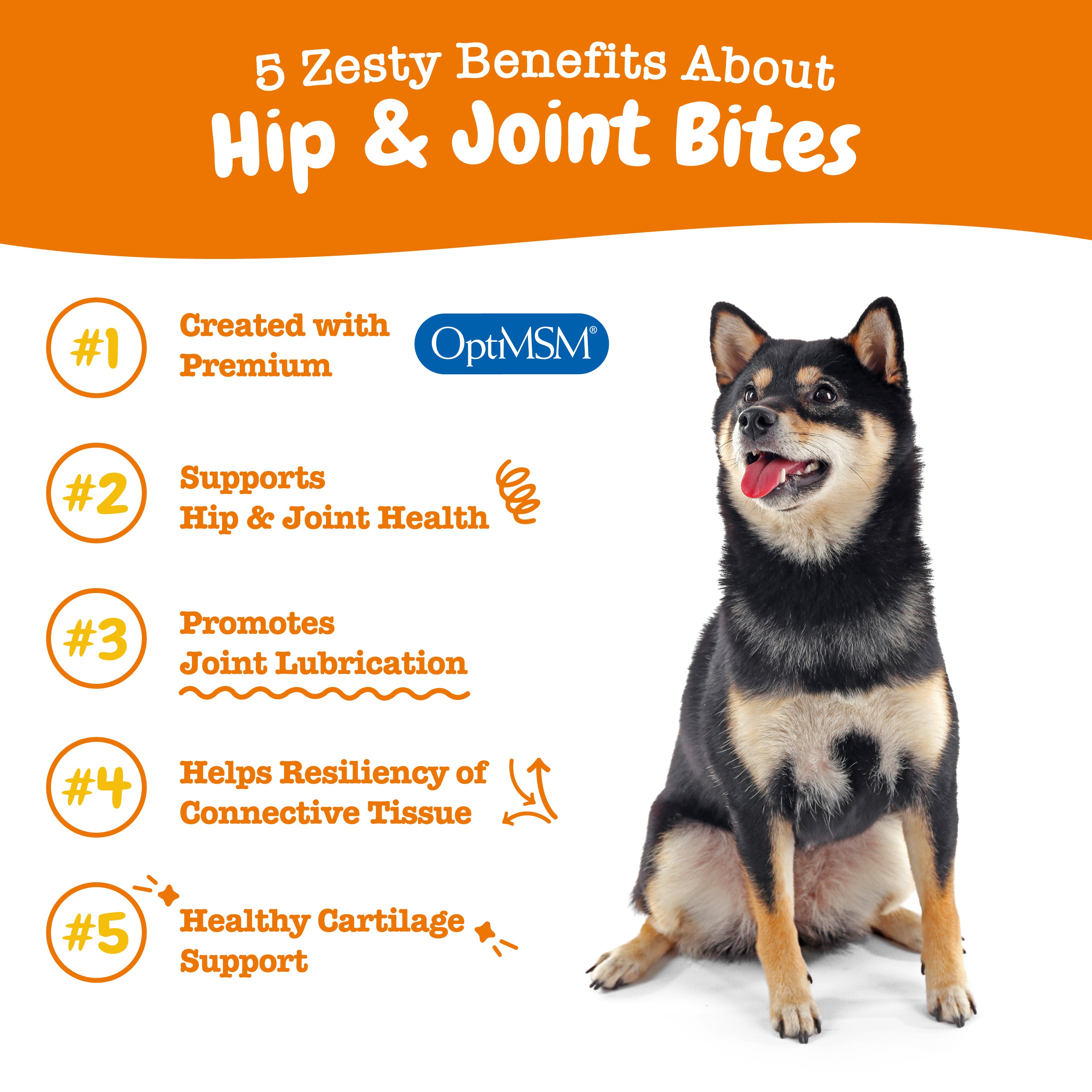 Zesty Paws Hip & Joint Bites Dog Supplements