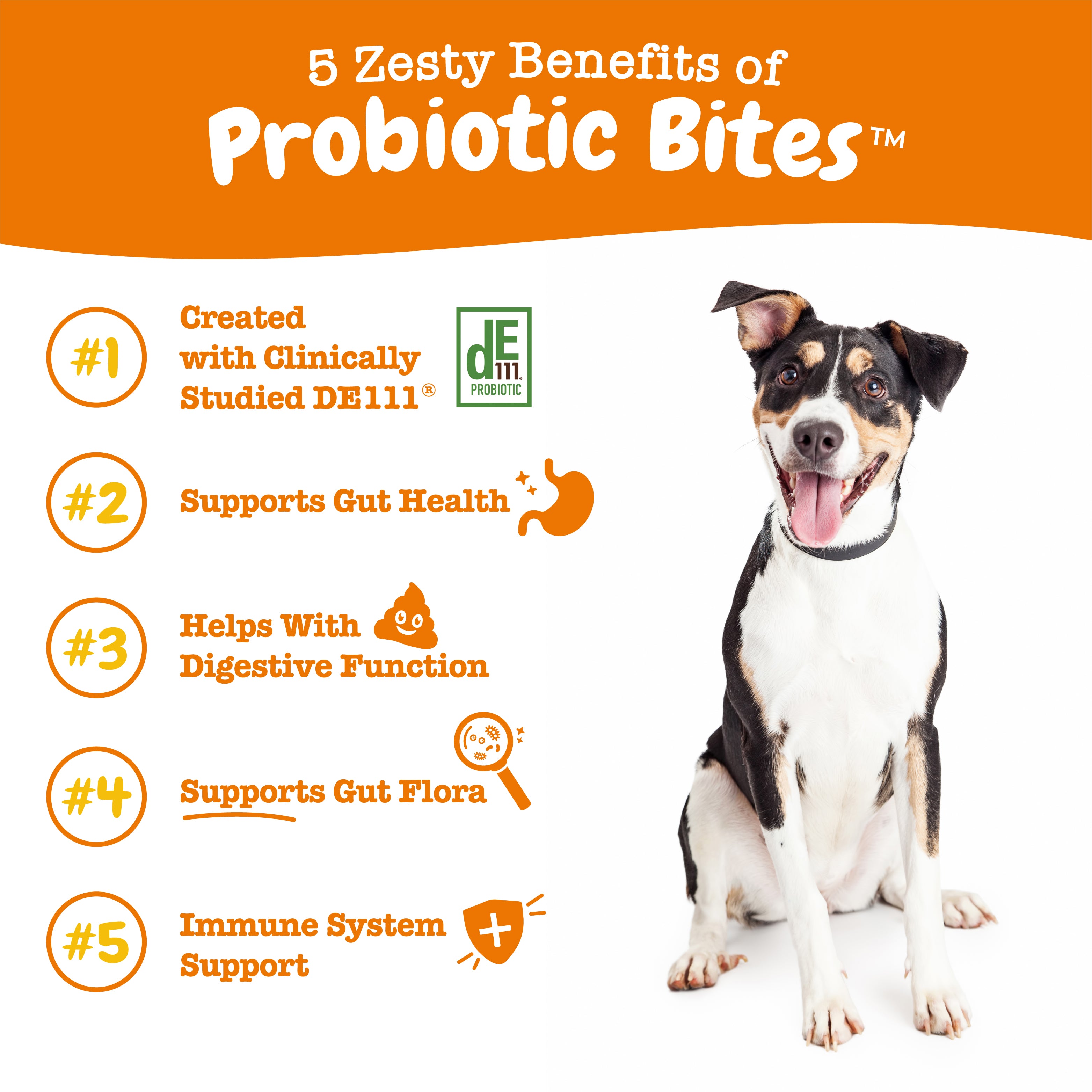 Zesty Paws Probiotic Bites Dog Supplements