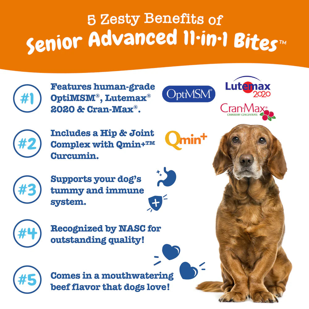 Zesty Paws Senior Advanced 11-in-1 Bites Dog Supplements