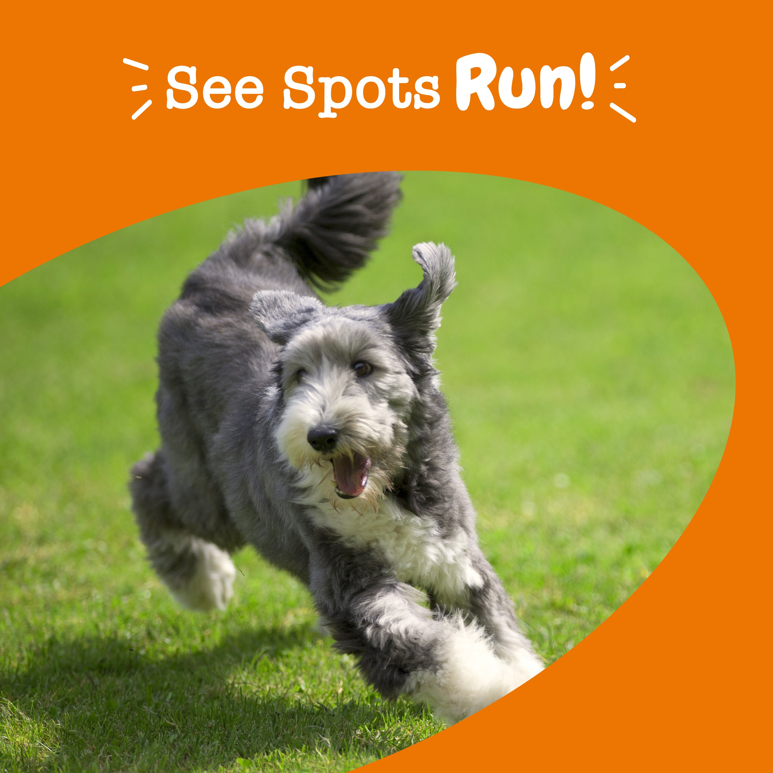 Zesty Paws Stay Green Bites Dog Supplements