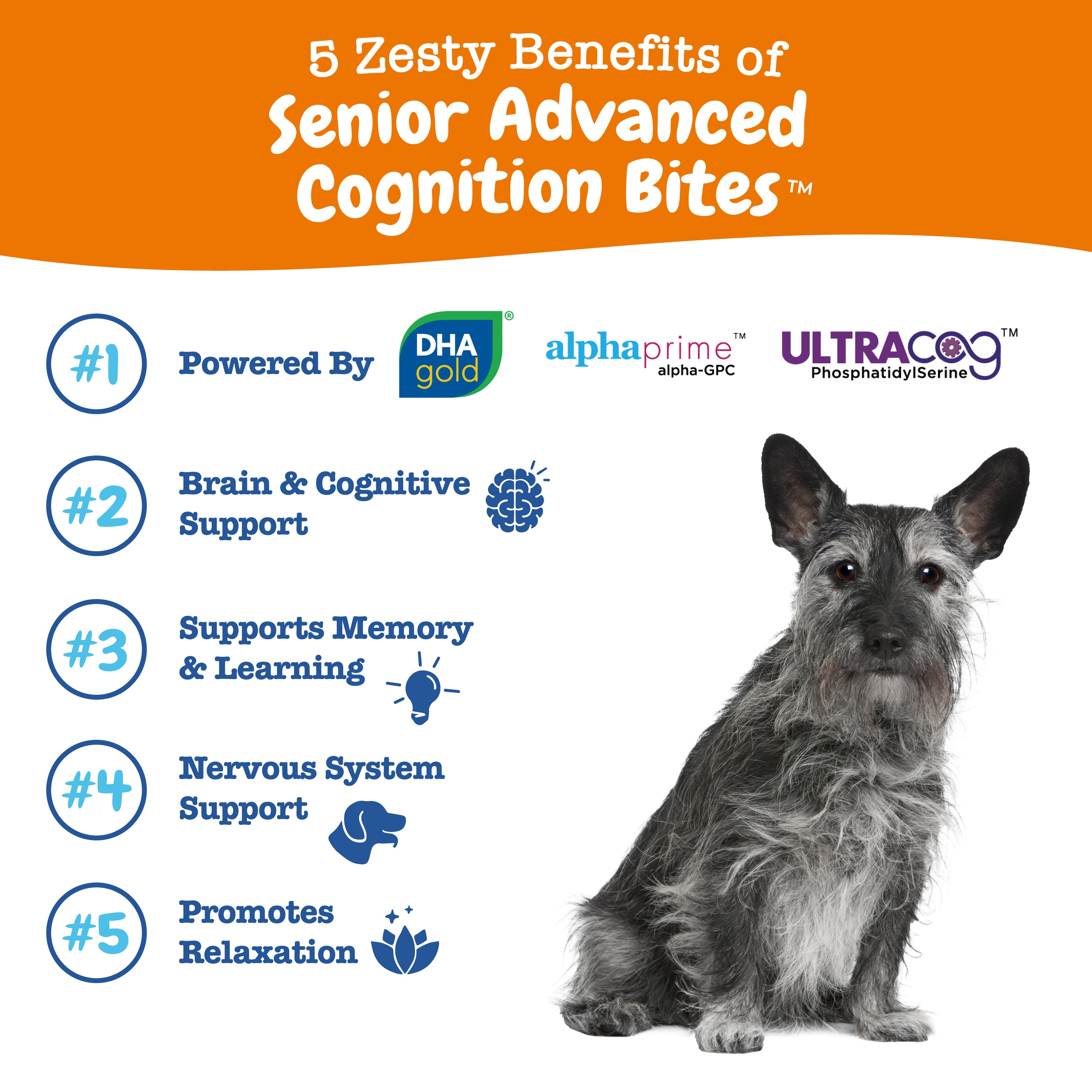 Zesty Paws Senior Advanced Cognition Bites Dog Supplements