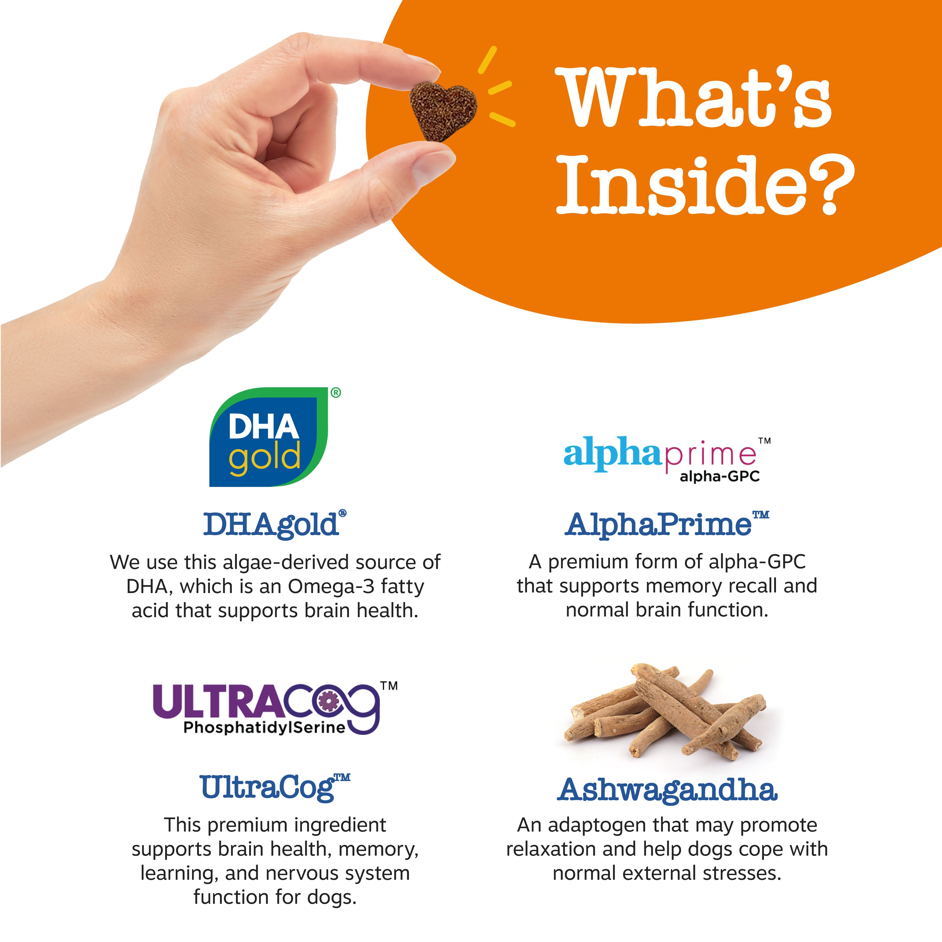 Zesty Paws Senior Advanced Cognition Bites Dog Supplements