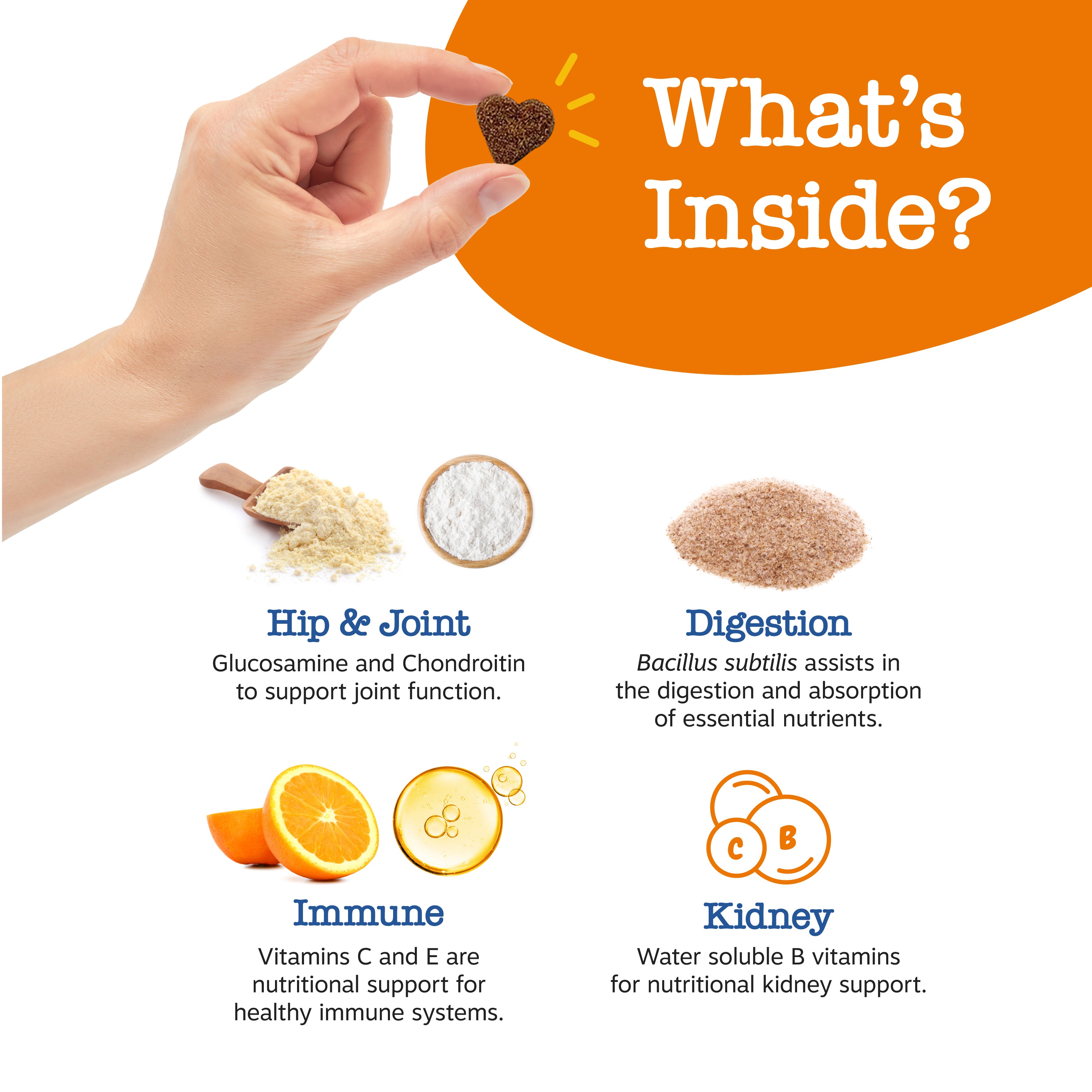 Zesty Paws Senior Advanced 11-in-1 Bites Dog Supplements