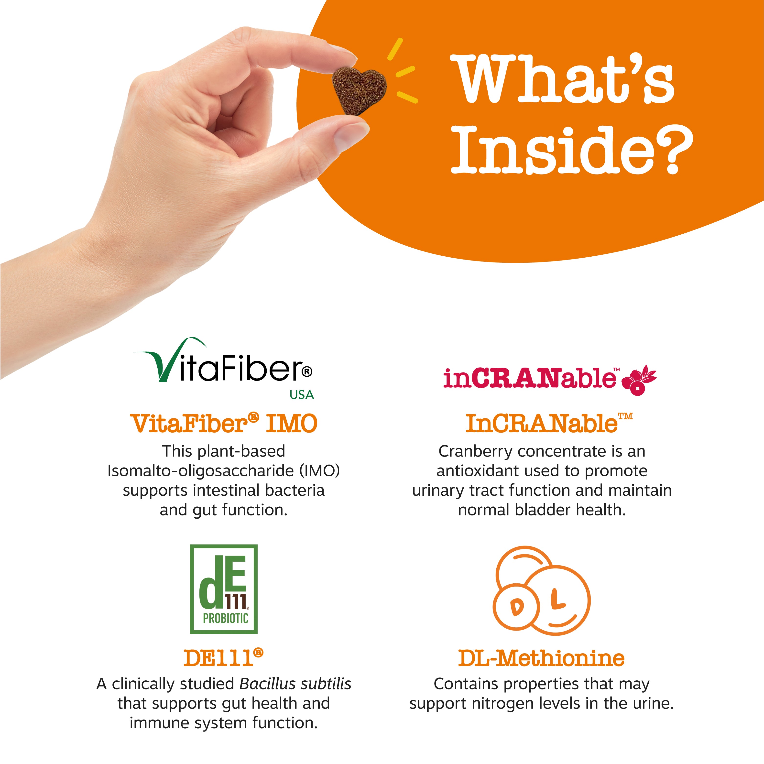 Zesty Paws Stay Green Bites Dog Supplements