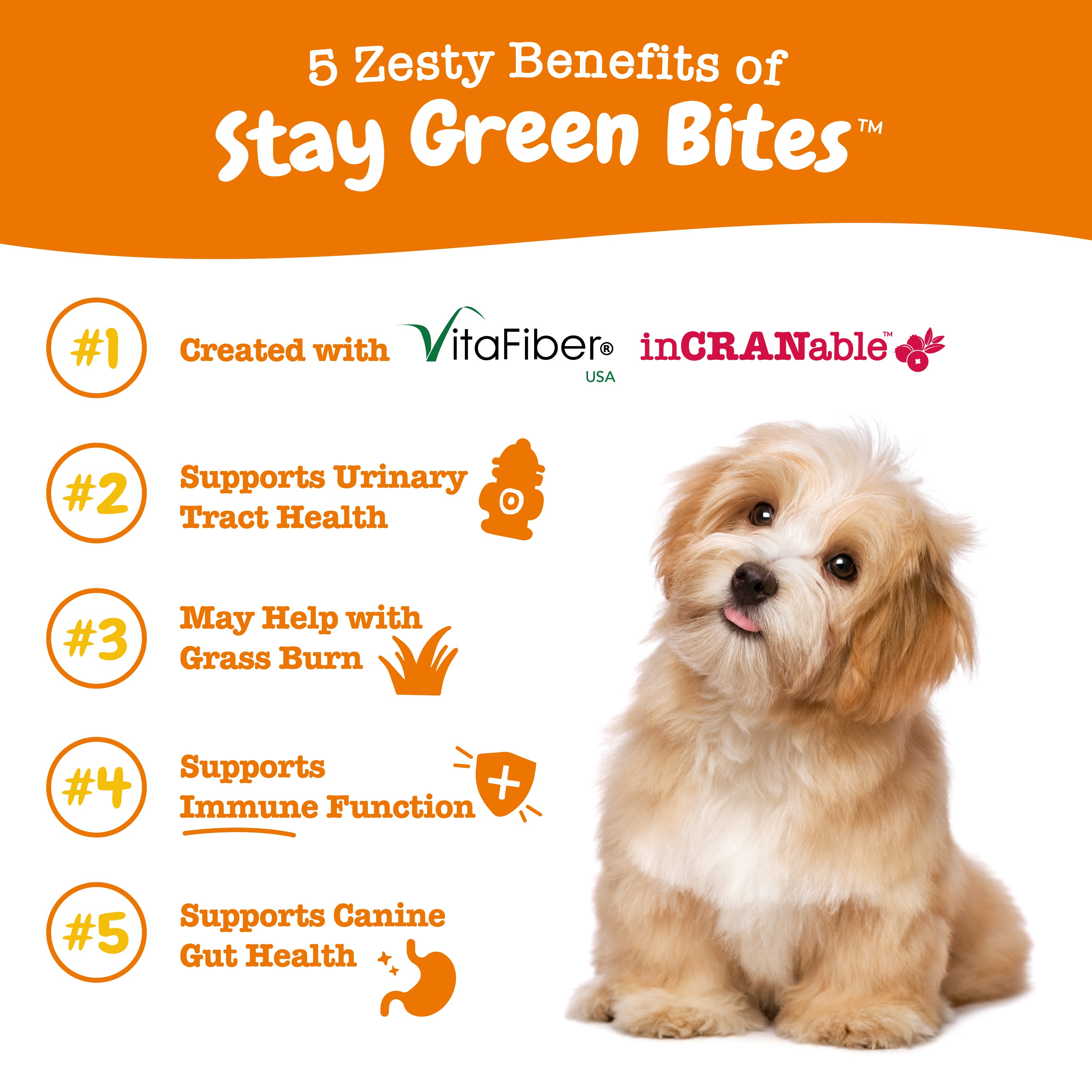 Zesty Paws Stay Green Bites Dog Supplements