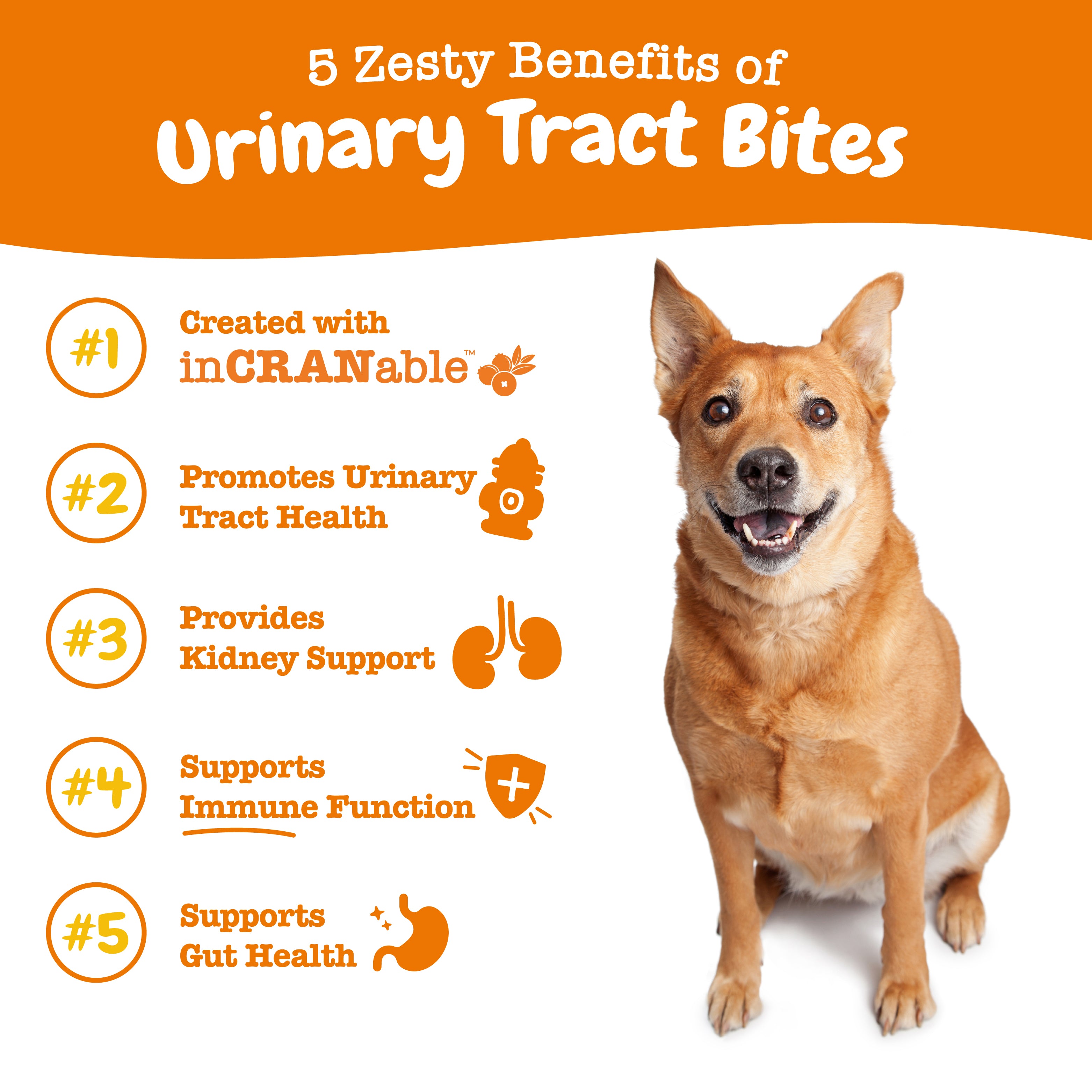 Zesty Paws Cranberry Urinary Tract Bites Dog Supplements - Chicken