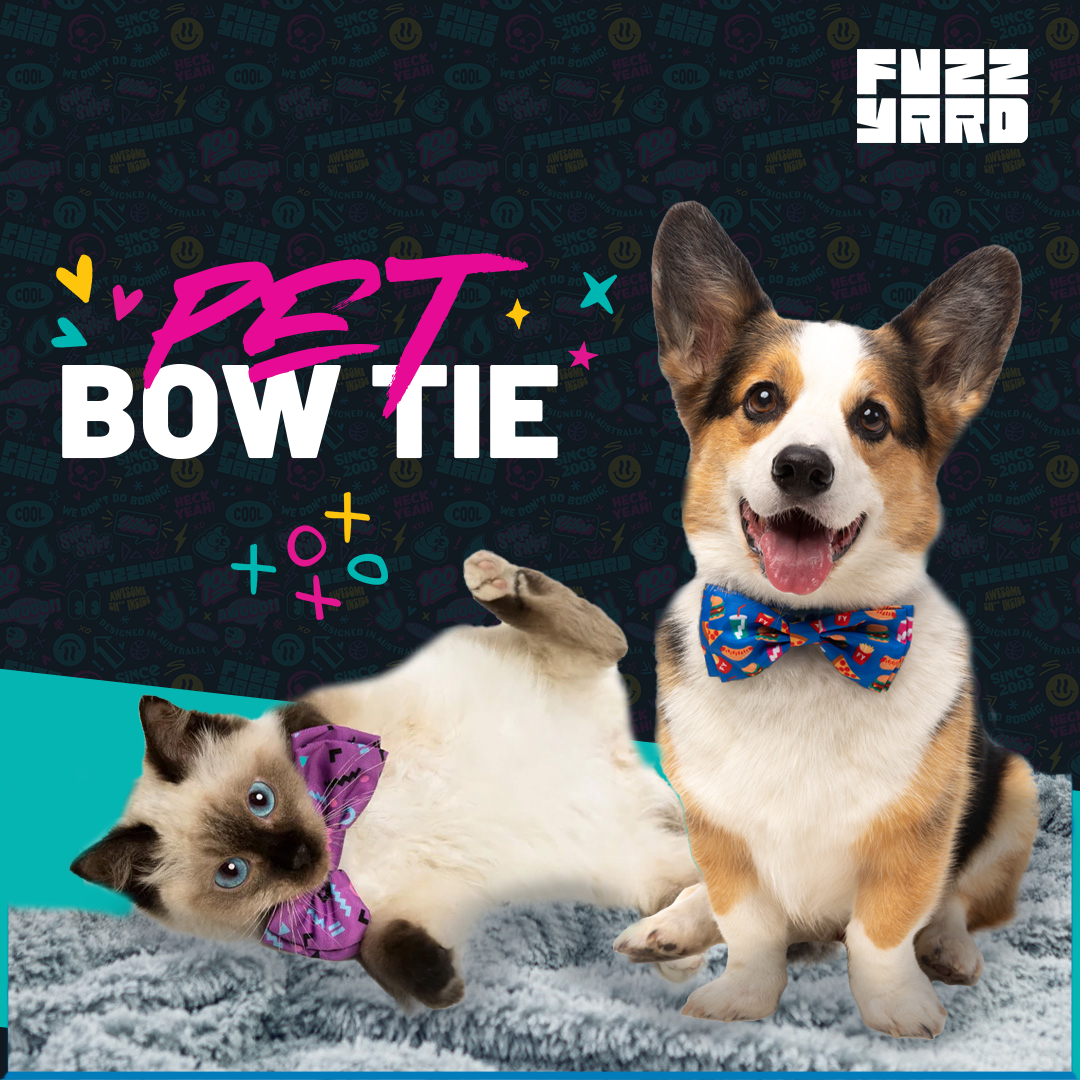 FuzzYard Pet Bowtie
