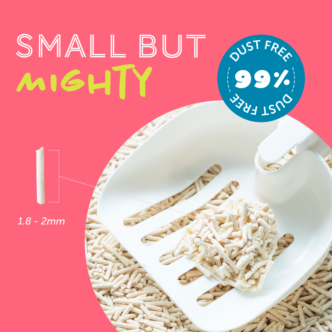 Daily Delight HAPPEA Cat Litter - 8 Litres