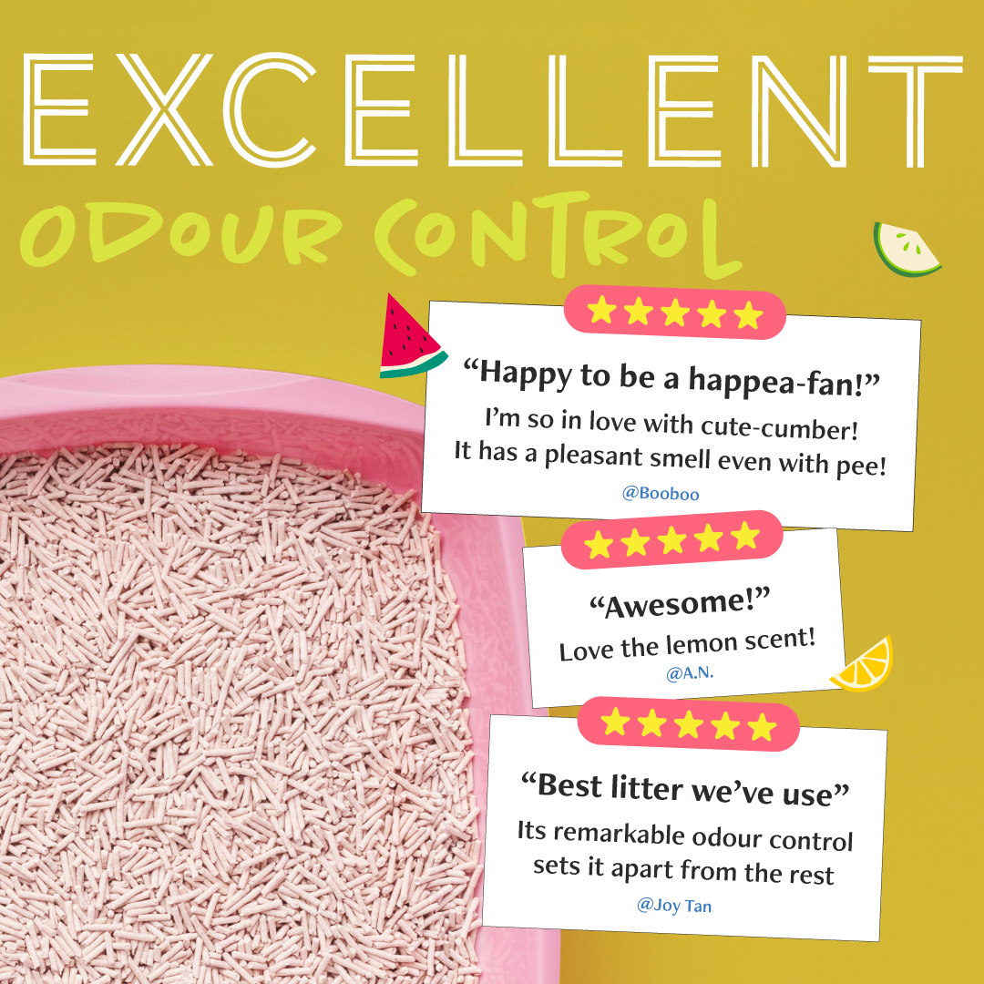 Daily Delight HAPPEA Cat Litter - 8 Litres