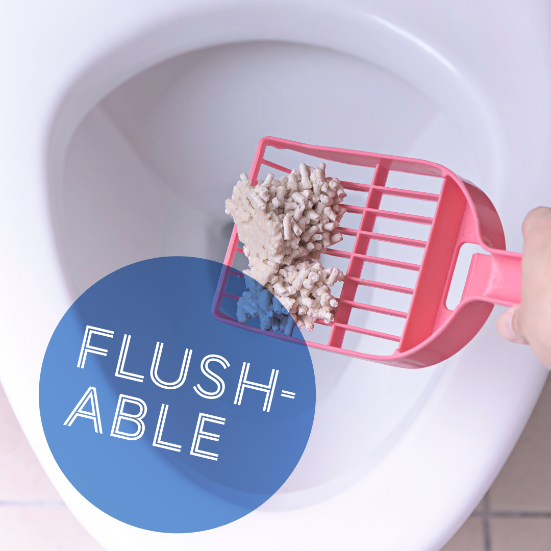 Daily Delight HAPPEA Cat Litter - 8 Litres