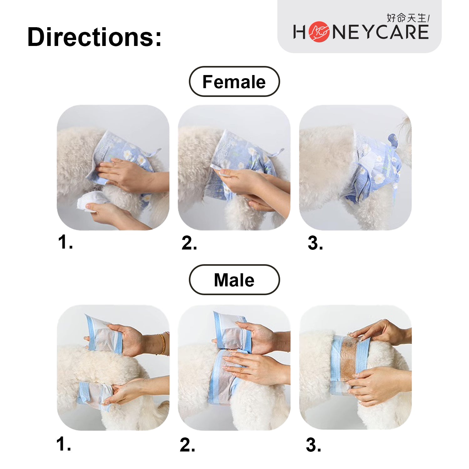 HoneyCare Dog Diaper - Male & Female Dogs