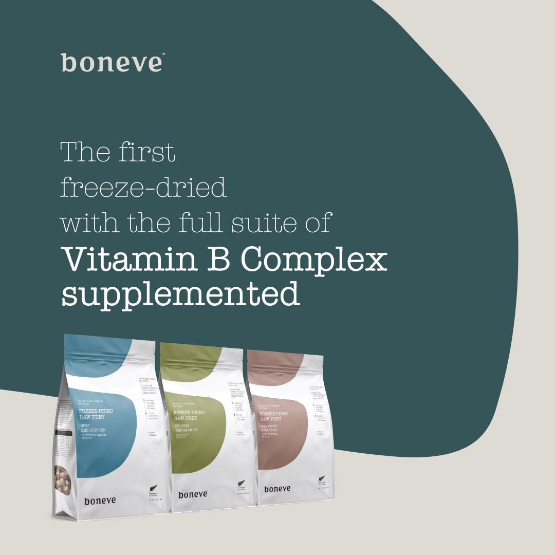 Boneve Freeze-Dried Cat Food