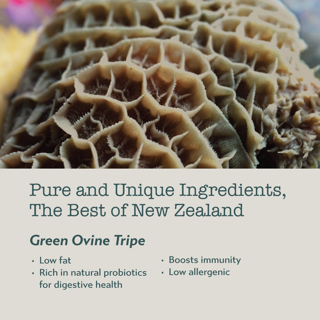 Boneve Freeze-Dried Cat Food