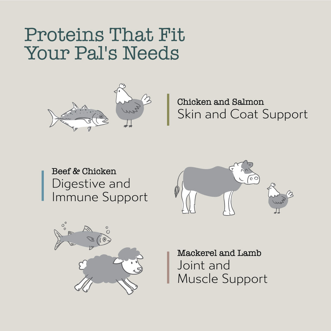 Boneve Freeze-Dried Raw Prey Cat Food