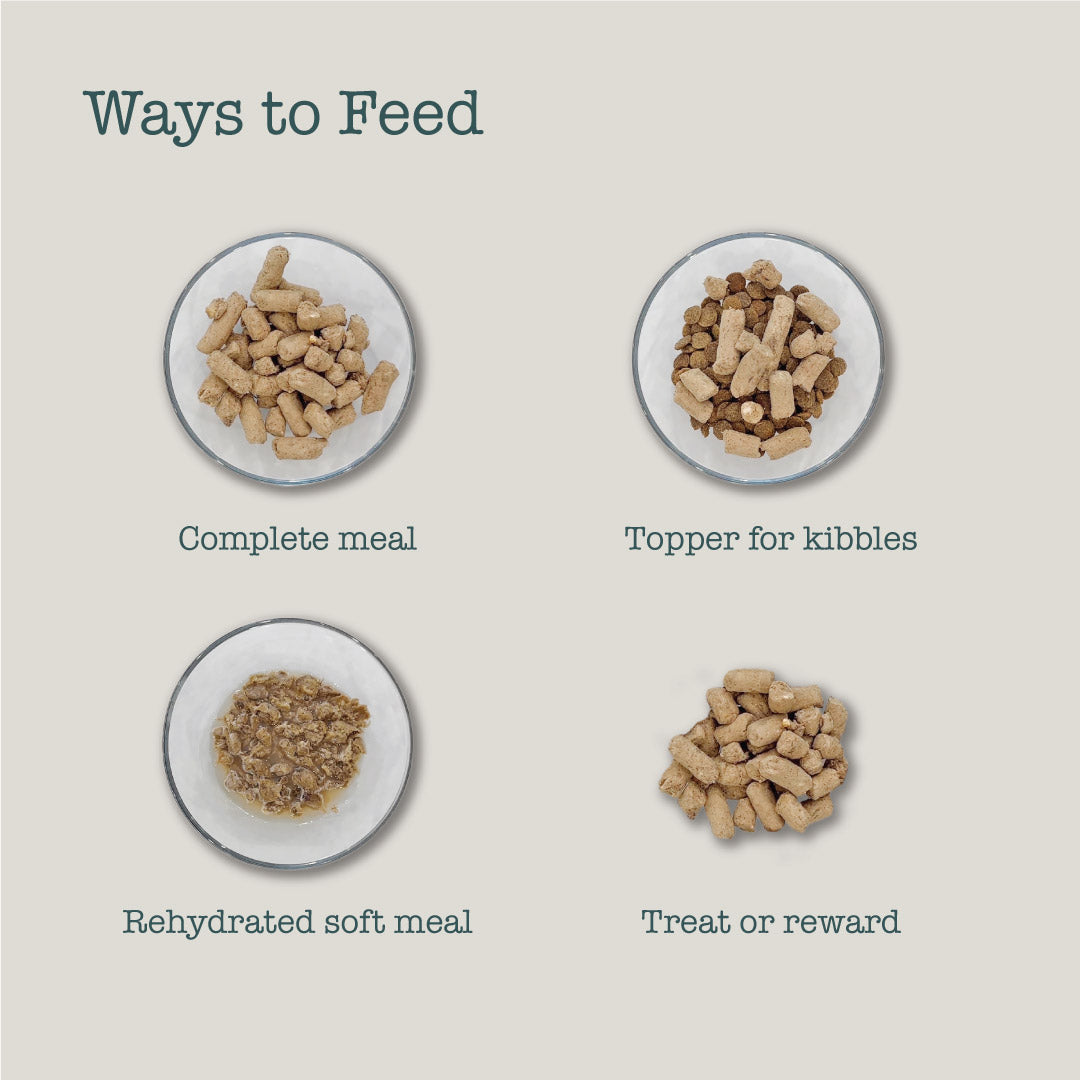 Boneve Freeze-Dried Raw Prey Cat Food