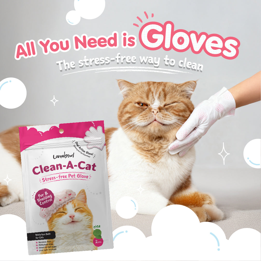 Loveabowl Clean-A-Cat Stress-free Pet Gloves Cactus