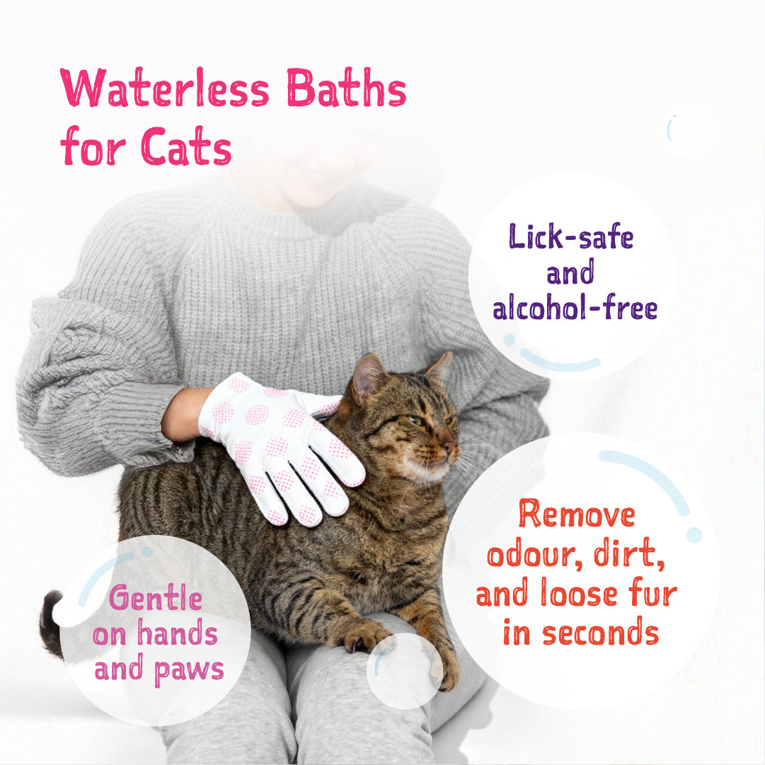 Loveabowl Clean-A-Cat Stress-free Pet Gloves Cactus