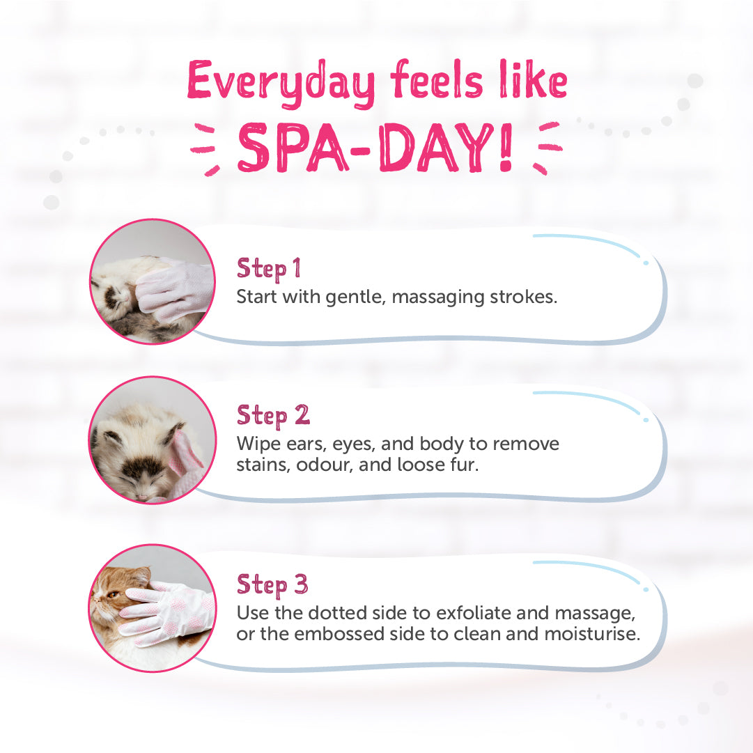 Loveabowl Clean-A-Cat Stress-free Pet Gloves Cactus