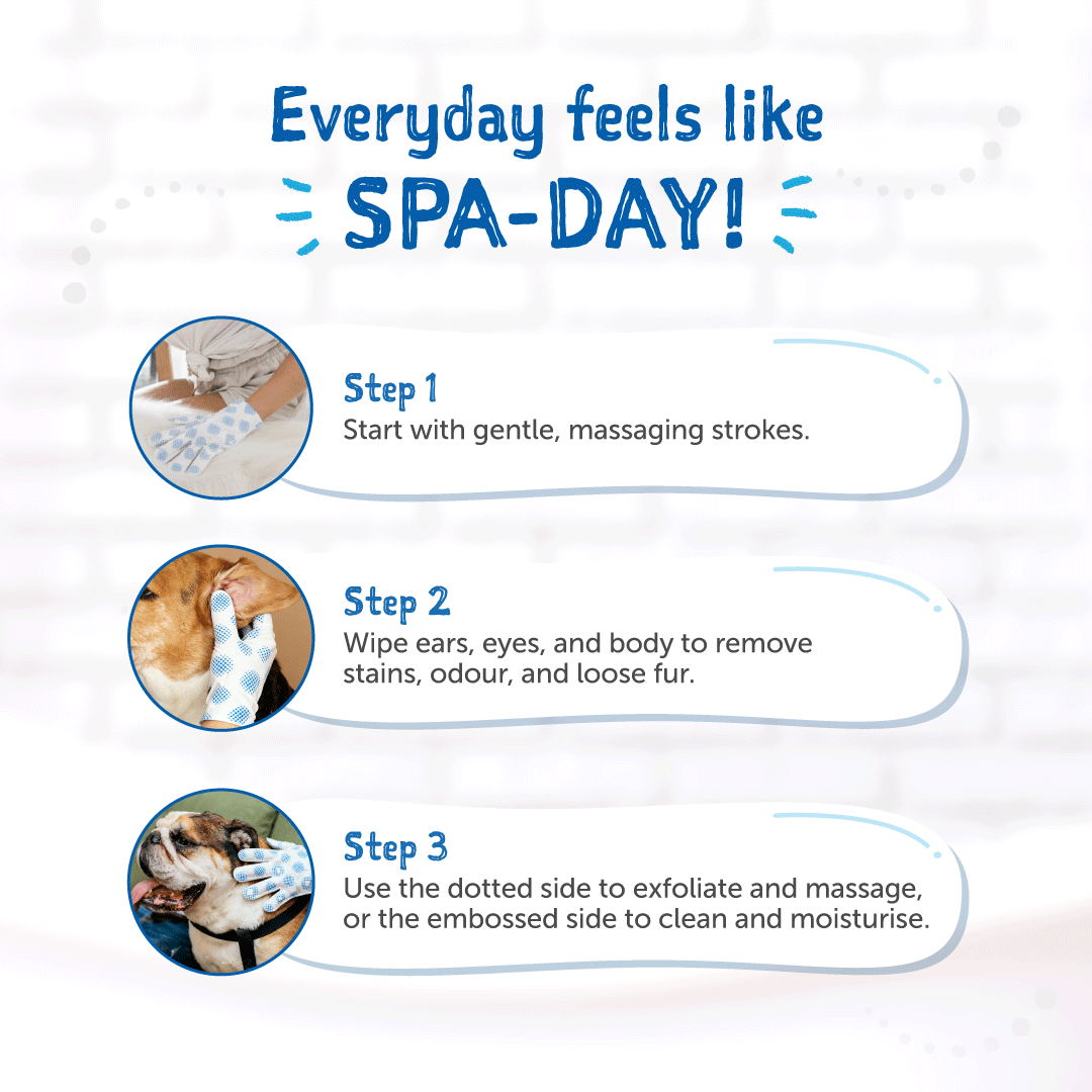 Loveabowl Clean-A-Dog Stress-free Pet Gloves Cherry Blossom