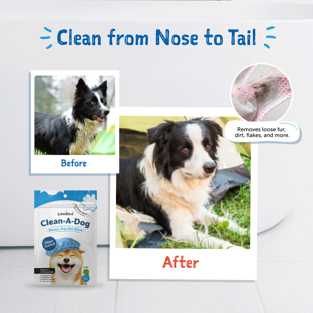 Loveabowl Clean-A-Dog Stress-free Pet Gloves Cherry Blossom