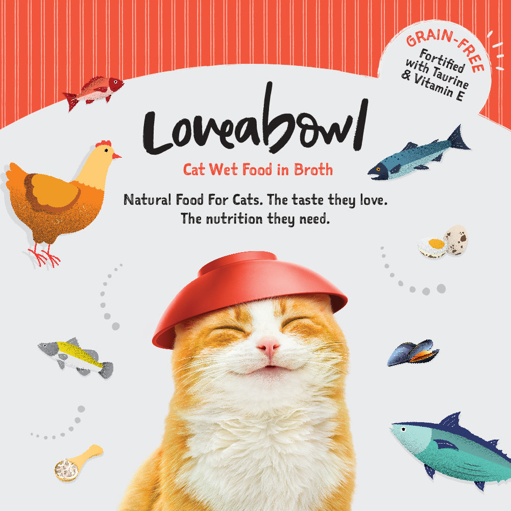 Loveabowl Wet Cat Food in Broth | Grain-Free Gourmet Hydration