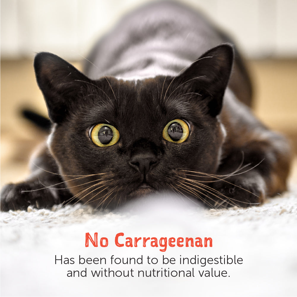 Loveabowl Wet Cat Food in Broth | Grain-Free Gourmet Hydration