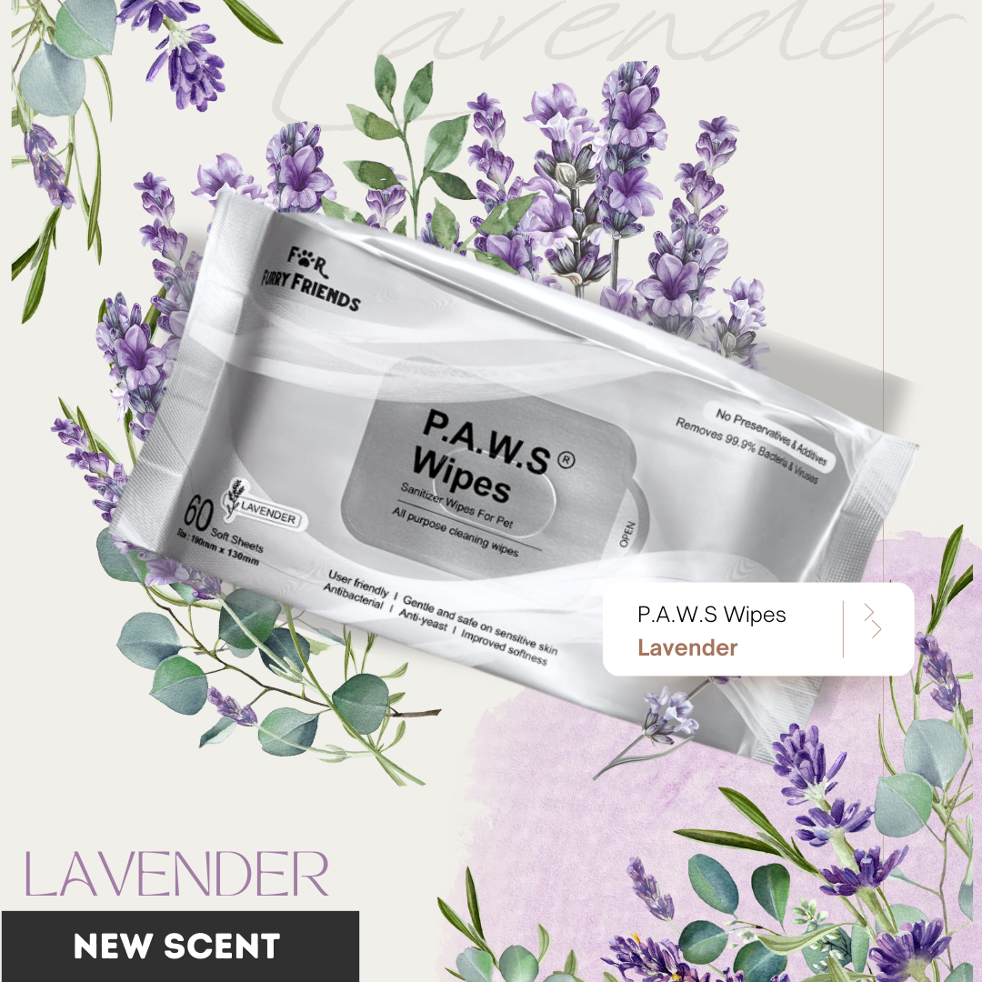 P.A.W.S Wipes - Lavender