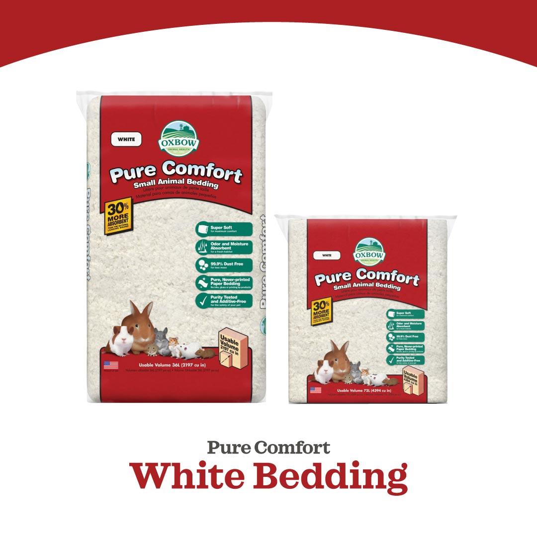 Oxbow Pure Comfort® Bedding