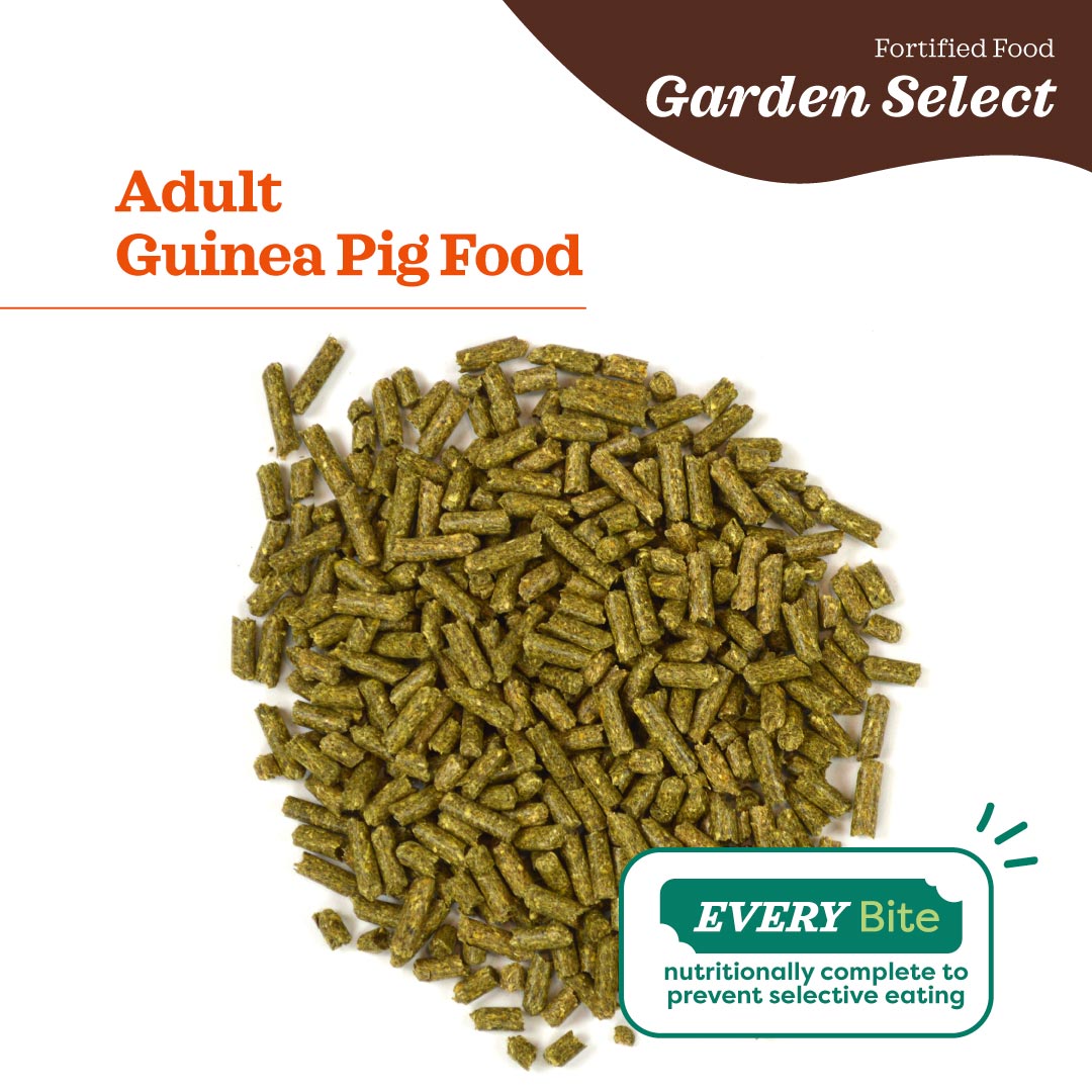 Oxbow Garden Select® Adult Guinea Pig Food