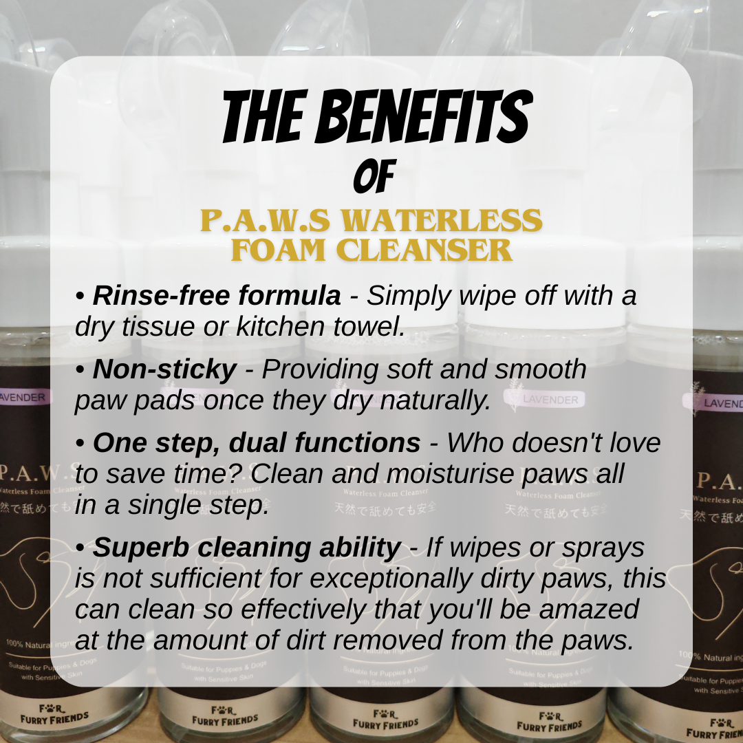 P.A.W.S Waterless Foam Cleanser - Lavender