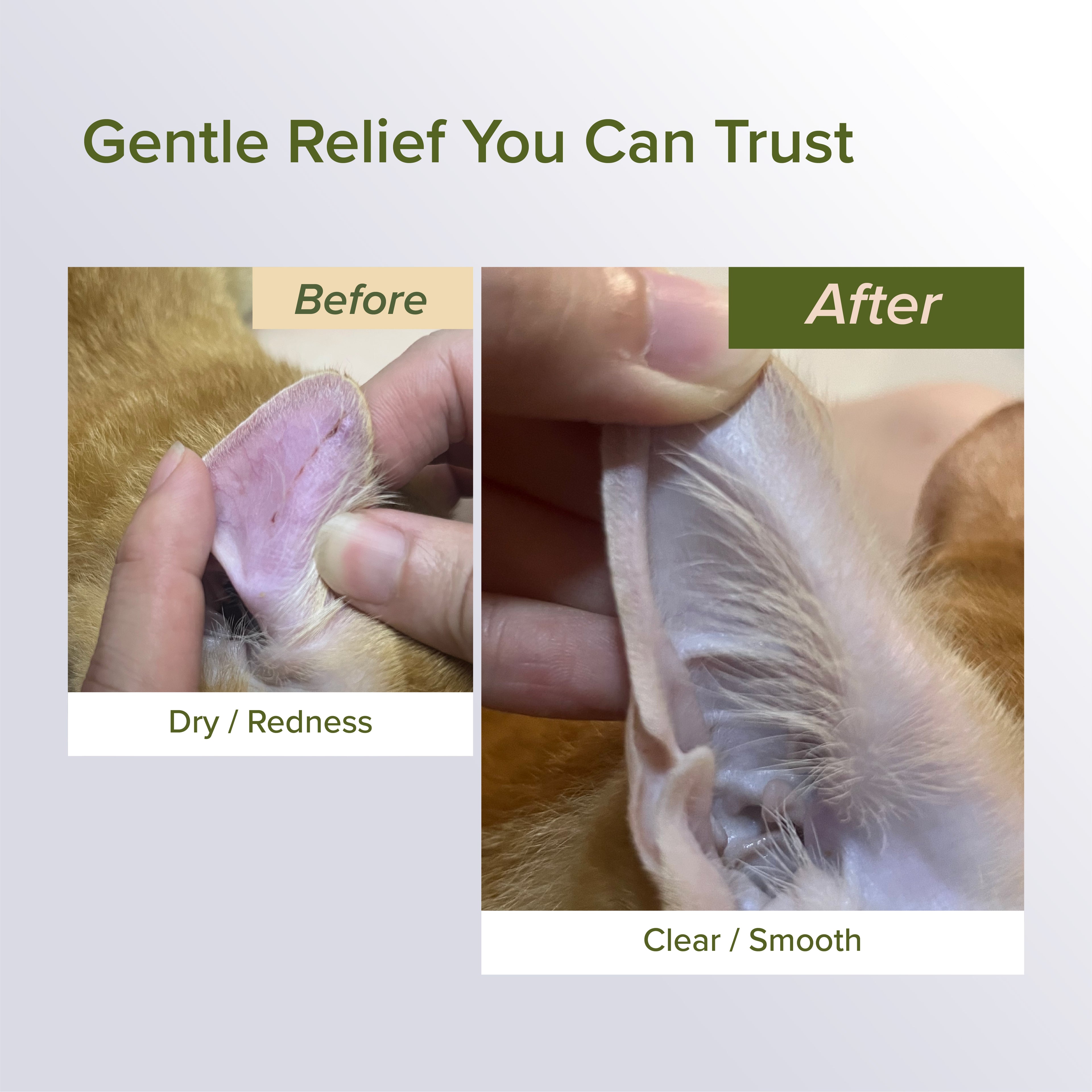 NurturePro NANO Colloidal Silver Spray - 60ml / 120ml