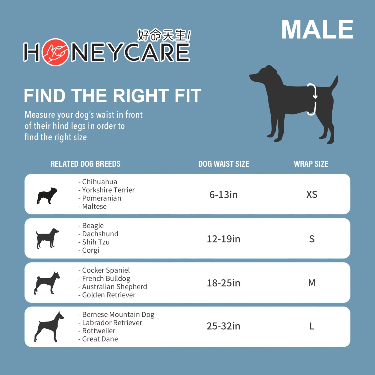 Honeycare Dog Diaper - Male & Female Dogs