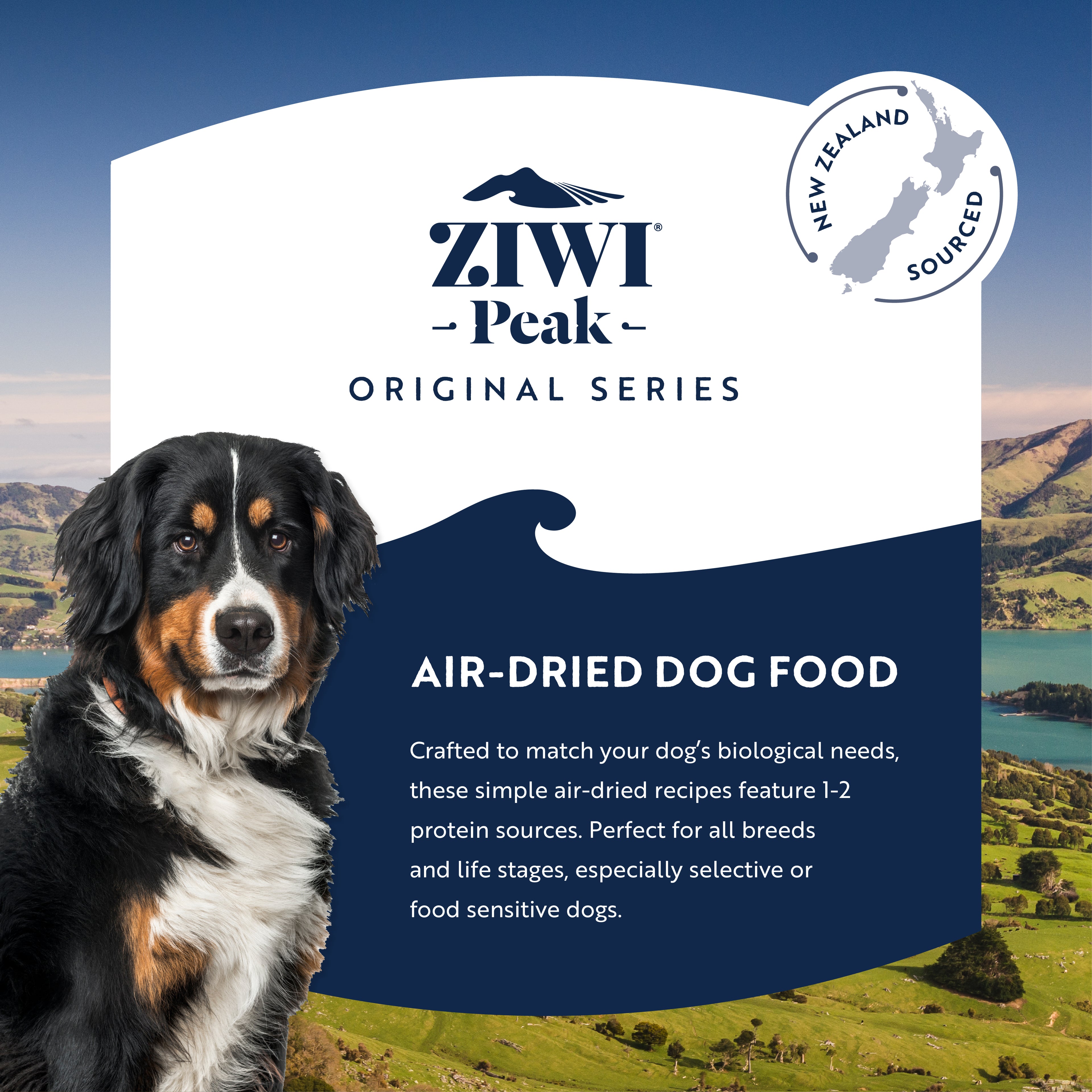 Ziwi Peak Air-Dried Beef Dog Food | Grain-Free & High Protein